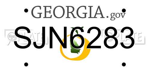 SJN6283 Georgia License Plate