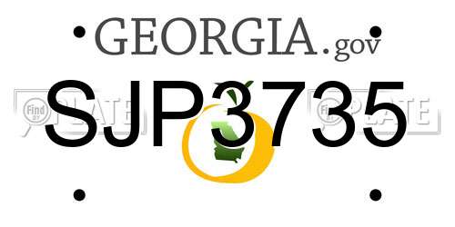 SJP3735 Georgia License Plate