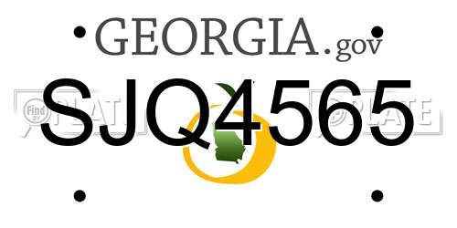 SJQ4565 Georgia License Plate