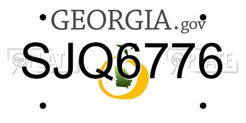 SJQ6776 Georgia License Plate