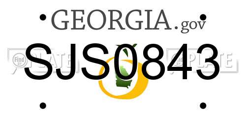 SJS0843 Georgia License Plate