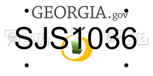 SJS1036 Georgia License Plate