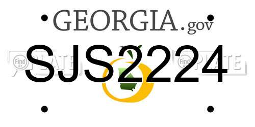 SJS2224 Georgia License Plate