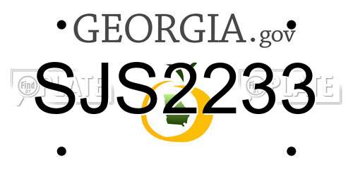 SJS2233 Georgia License Plate