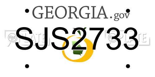 SJS2733 Georgia License Plate