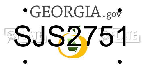 SJS2751 Georgia License Plate