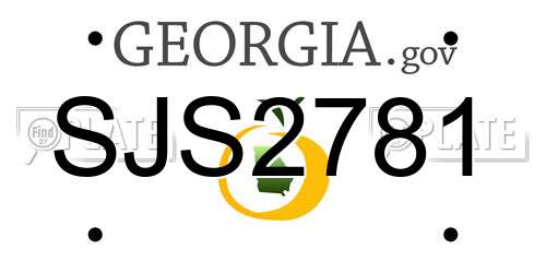 SJS2781 Georgia License Plate