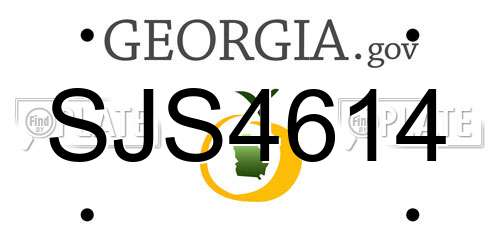 SJS4614 Georgia License Plate