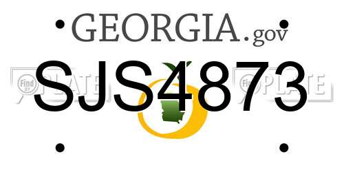 SJS4873 Georgia License Plate