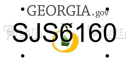 SJS6160 Georgia License Plate