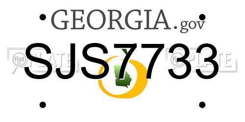 SJS7733 Georgia License Plate
