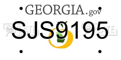 SJS9195 Georgia License Plate