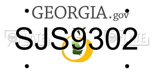 SJS9302 Georgia License Plate