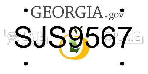 SJS9567 Georgia License Plate