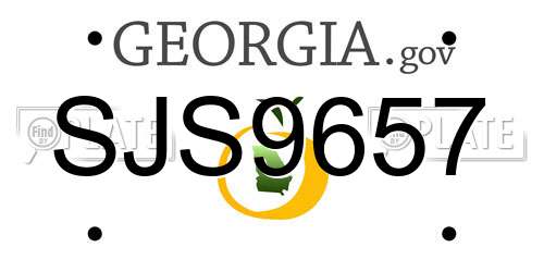 SJS9657 Georgia License Plate