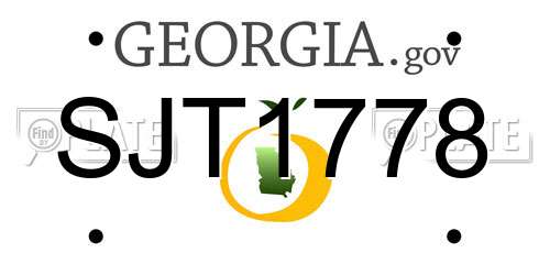 SJT1778 Georgia License Plate