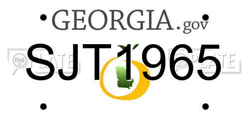 SJT1965 Georgia License Plate