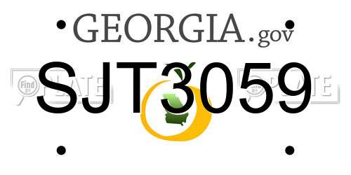 SJT3059 Georgia License Plate