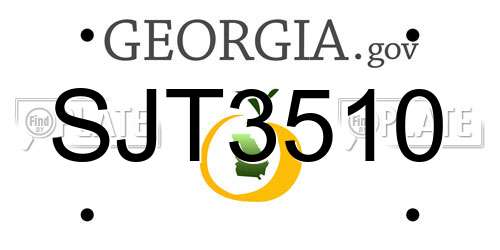 SJT3510 Georgia License Plate