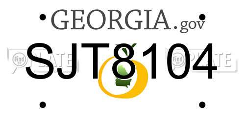 SJT8104 Georgia License Plate