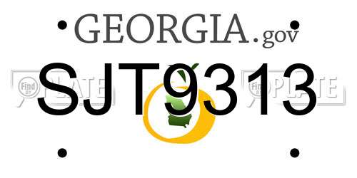 SJT9313 Georgia License Plate