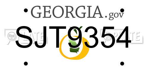 SJT9354 Georgia License Plate