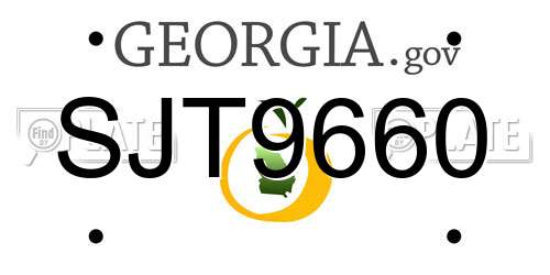SJT9660 Georgia License Plate