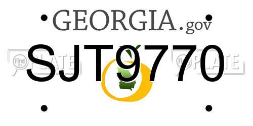 SJT9770 Georgia License Plate