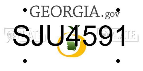 SJU4591 Georgia License Plate