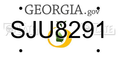 SJU8291 Georgia License Plate