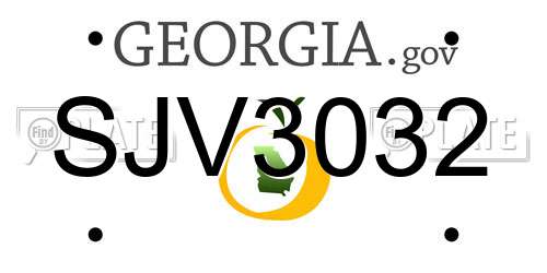 SJV3032 Georgia License Plate
