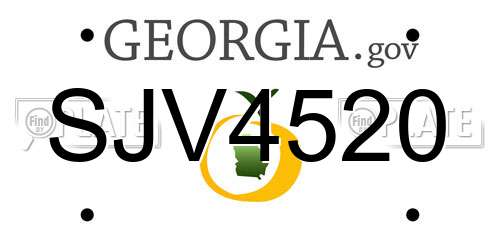 SJV4520 Georgia License Plate