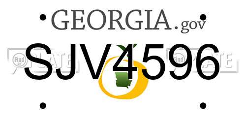 SJV4596 Georgia License Plate