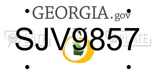 SJV9857 Georgia License Plate
