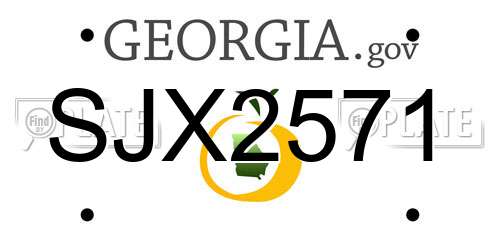 SJX2571 Georgia License Plate
