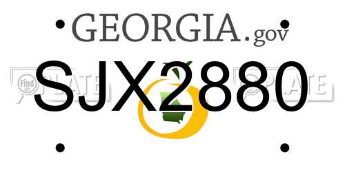 SJX2880 Georgia License Plate