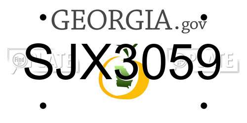 SJX3059 Georgia License Plate