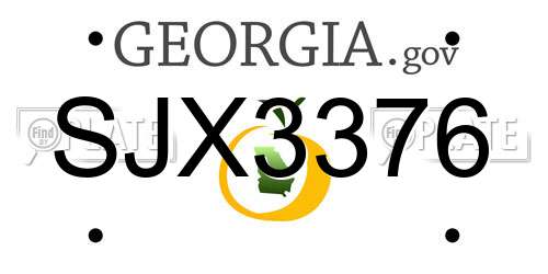 SJX3376 Georgia License Plate