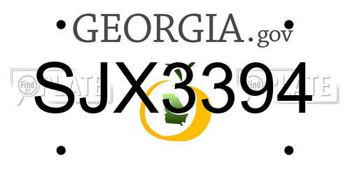 SJX3394 Georgia License Plate