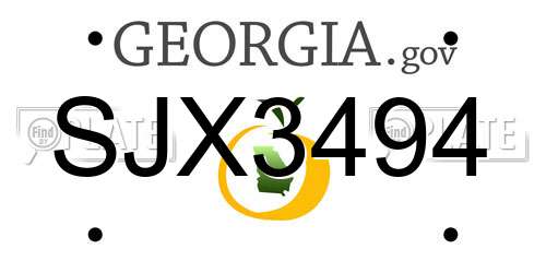 SJX3494 Georgia License Plate