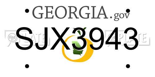 SJX3943 Georgia License Plate