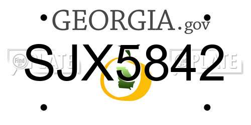 SJX5842 Georgia License Plate