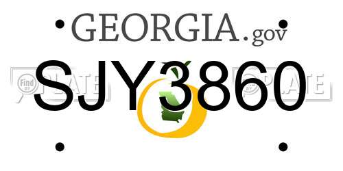 SJY3860 Georgia License Plate