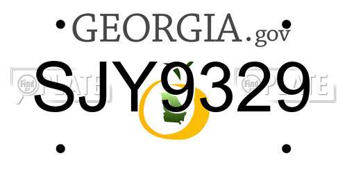 SJY9329 Georgia License Plate