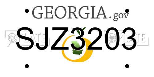 SJZ3203 Georgia License Plate