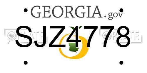 SJZ4778 Georgia License Plate