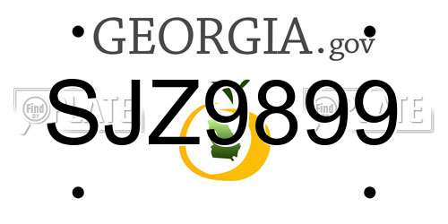 SJZ9899 Georgia License Plate