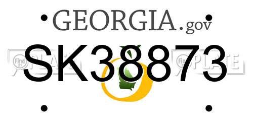SK38873 Georgia License Plate
