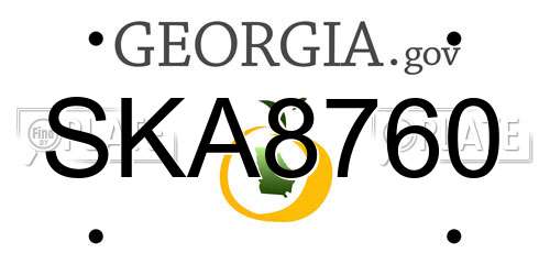 SKA8760 Georgia License Plate