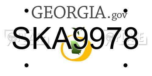 SKA9978 Georgia License Plate